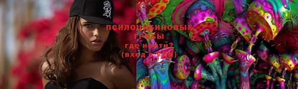 герыч Ельня
