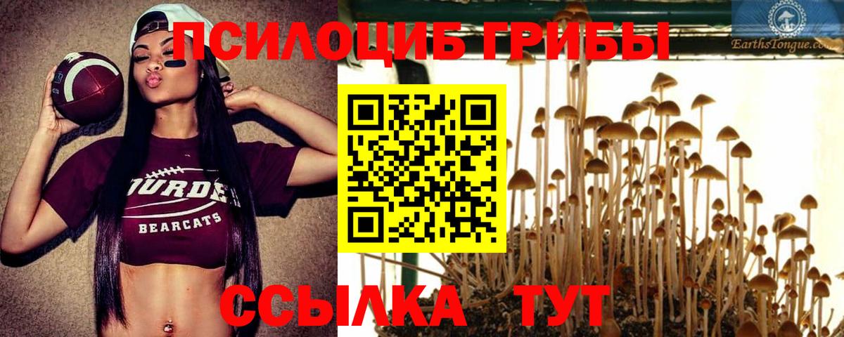 Зима  купить закладку  Вход с VPN  Галлюциногенные грибы мицелий 