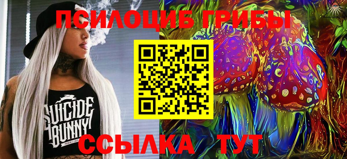 Галлюциногенные грибы Cubensis Зима